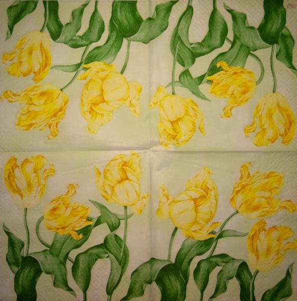 228 Tulpen - 3-lagig - Paw